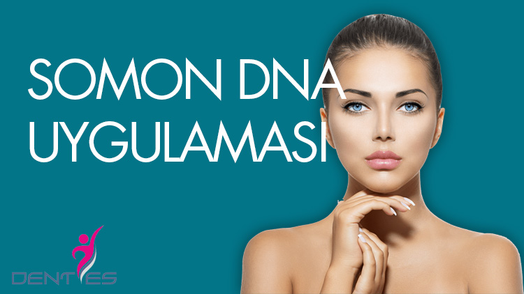 Somon-DNA-Uygulaması-1