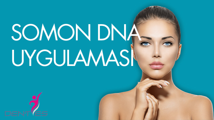 Somon-DNA-Uygulaması-2
